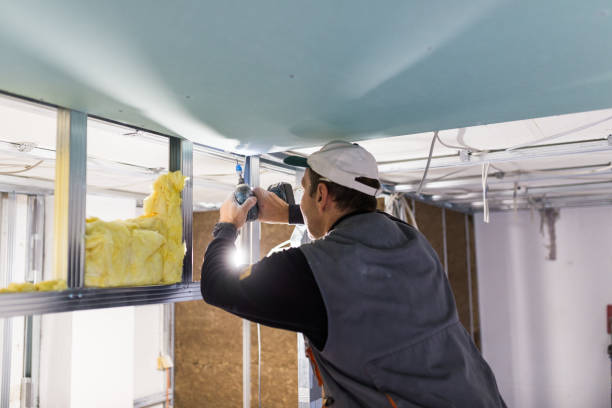 Best Insulation Contractor Near Me  in New California, OH