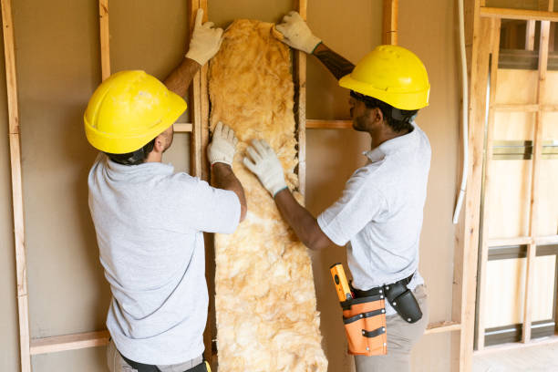 Best Crawl Space Insulation  in New California, OH